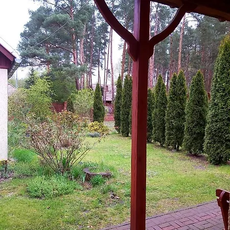 Drzewosfera Apartment