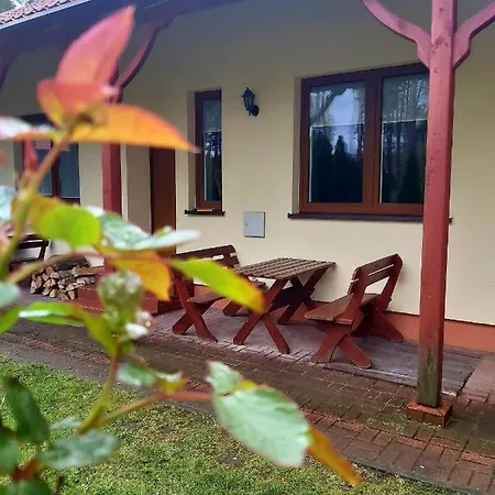 Drzewosfera Apartment