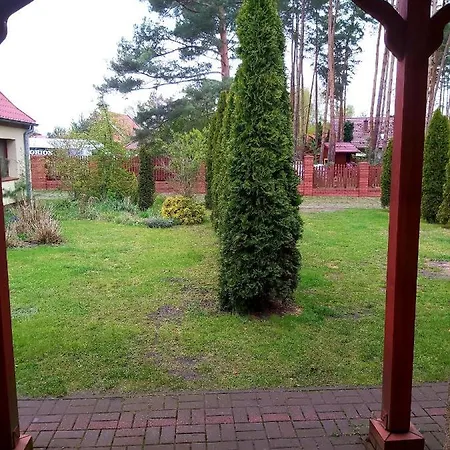 Apartment Drzewosfera *