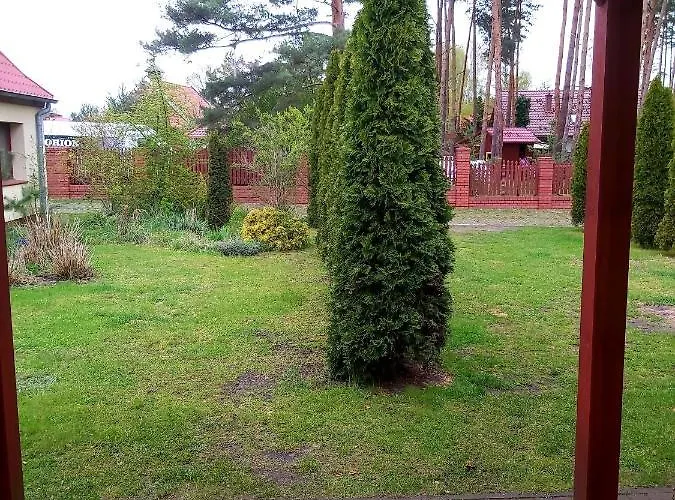 Appartement Drzewosfera *